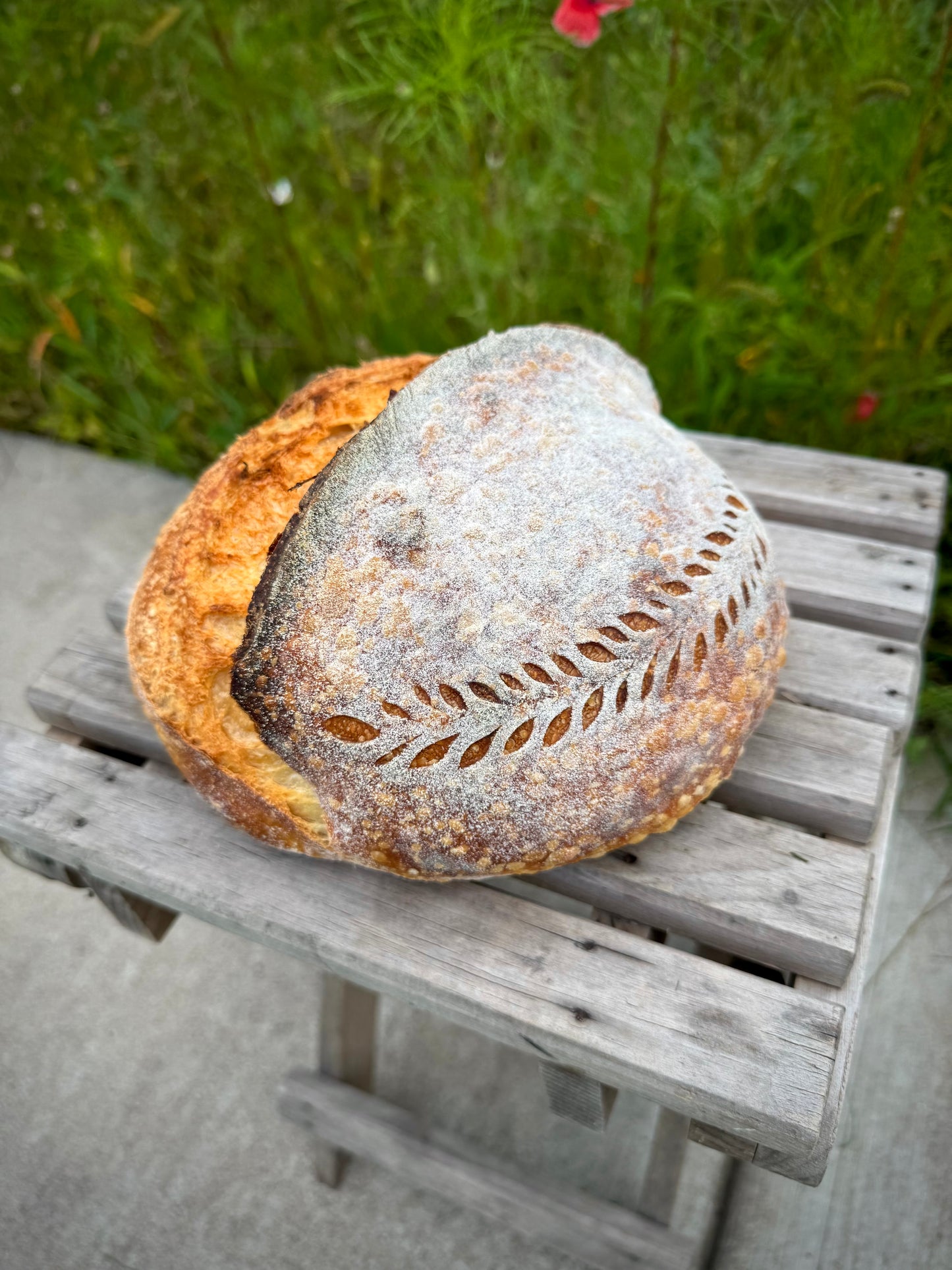 Sourdough Boule