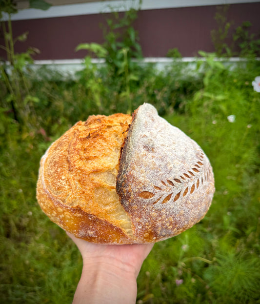 Sourdough Boule