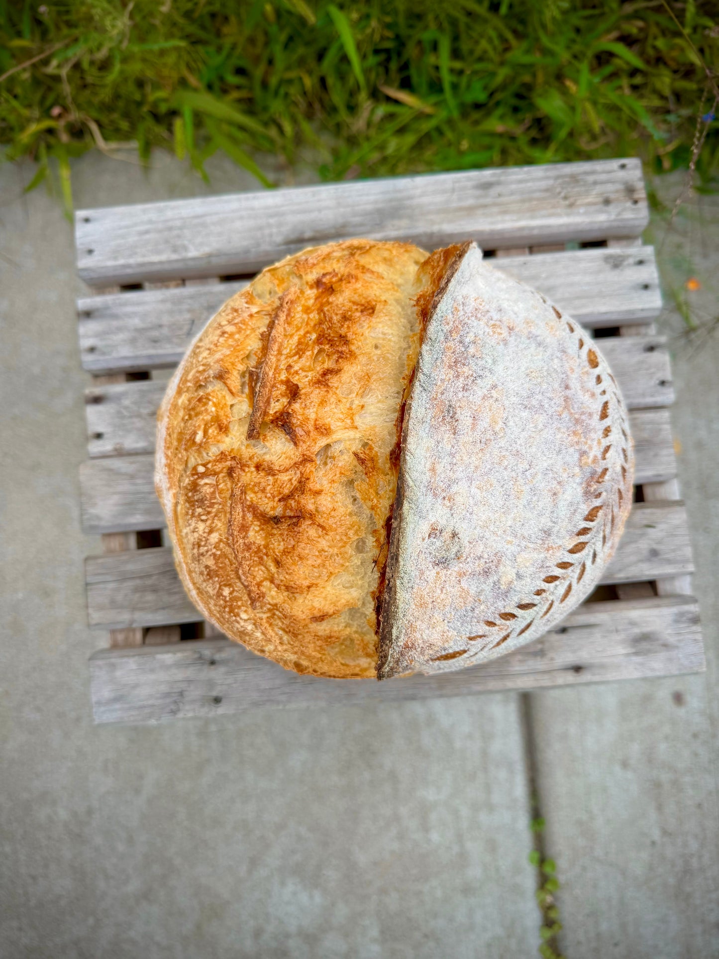 Sourdough Boule